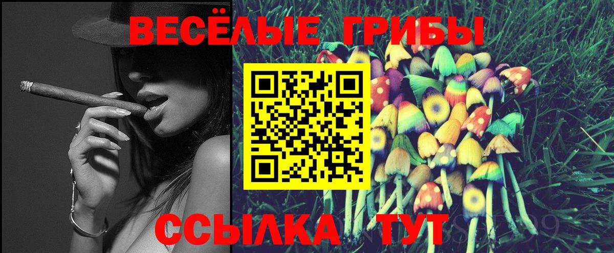 Псилоцибиновые грибы мухоморы Радужный