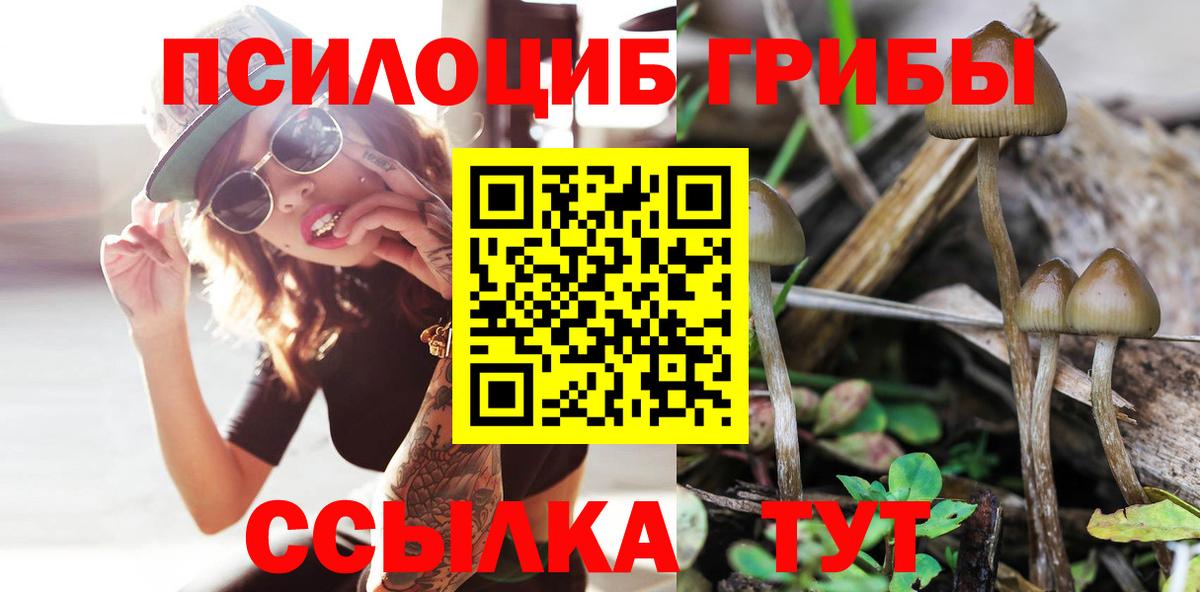 купить наркотики сайты  Псилоцибиновые грибы Magic Shrooms  Вход с VPN  Радужный 